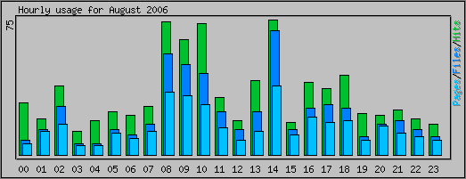 Hourly usage