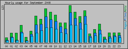 Hourly usage