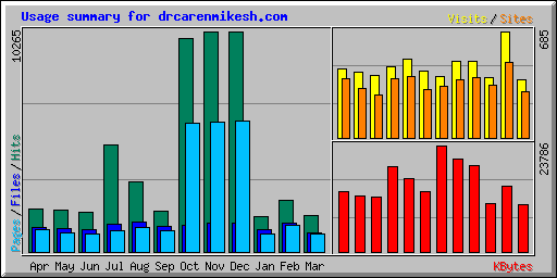 Usage summary for drcarenmikesh.com